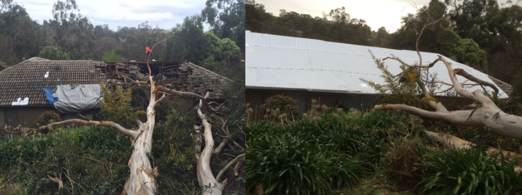 Sugi Wignesan house before and after Stormseal